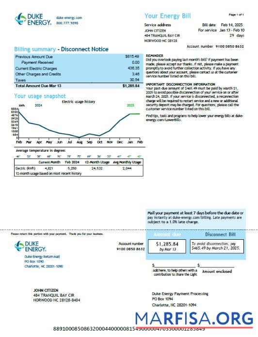 Blank USA Duke Energy utility bill template in Word and PDF formats, version 2